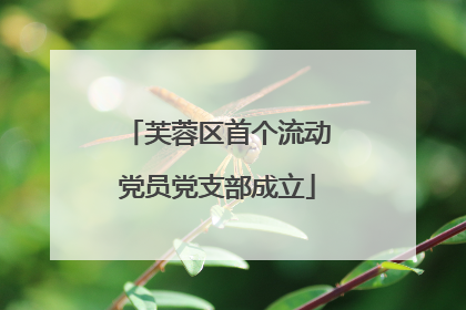 芙蓉区首个流动党员党支部成立