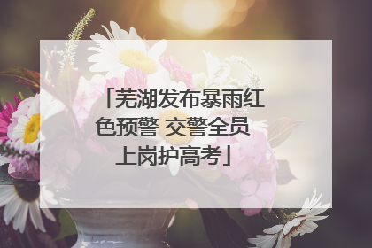 芜湖发布暴雨红色预警 交警全员上岗护高考