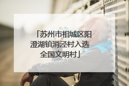 苏州市相城区阳澄湖镇消泾村入选全国文明村