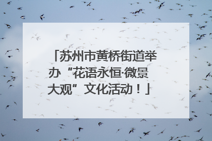 苏州市黄桥街道举办“花语永恒·微景大观”文化活动！