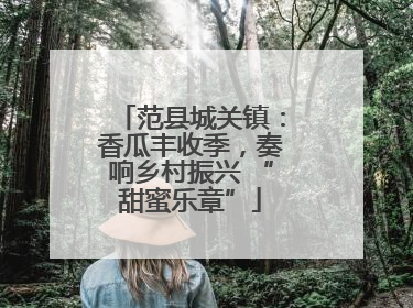 范县城关镇：香瓜丰收季，奏响乡村振兴 “甜蜜乐章”
