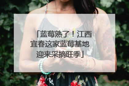 蓝莓熟了！江西宜春这家蓝莓基地迎来采摘旺季