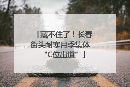 藏不住了！长春街头耐寒月季集体“C位出道”
