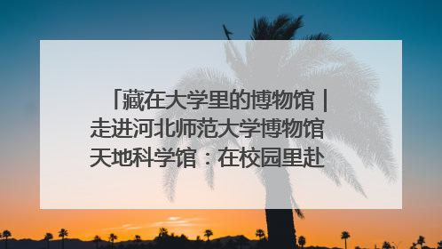 藏在大学里的博物馆｜走进河北师范大学博物馆天地科学馆：在校园里赴一场“宇宙之约”