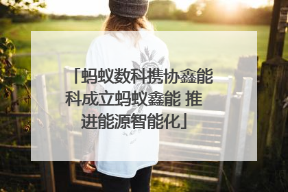 蚂蚁数科携协鑫能科成立蚂蚁鑫能 推进能源智能化