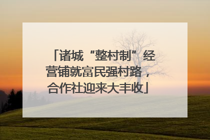诸城“整村制”经营铺就富民强村路，合作社迎来大丰收