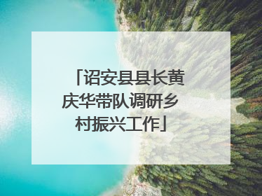 诏安县县长黄庆华带队调研乡村振兴工作