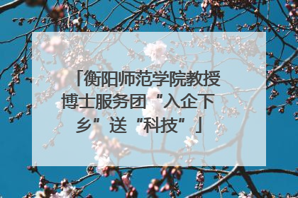 衡阳师范学院教授博士服务团“入企下乡”送“科技”