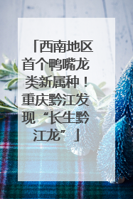 西南地区首个鸭嘴龙类新属种！重庆黔江发现“长生黔江龙”