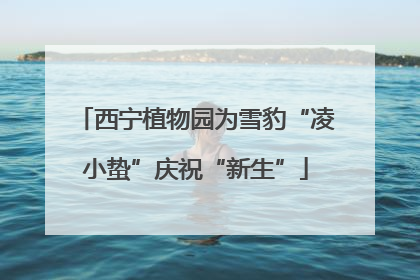 西宁植物园为雪豹“凌小蛰”庆祝“新生”