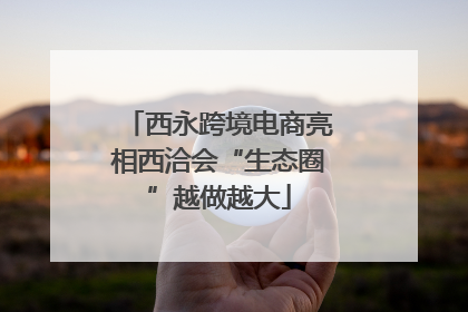 西永跨境电商亮相西洽会“生态圈”越做越大