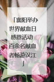 襄阳举办世界献血日感恩活动 百余名献血者畅游汉江