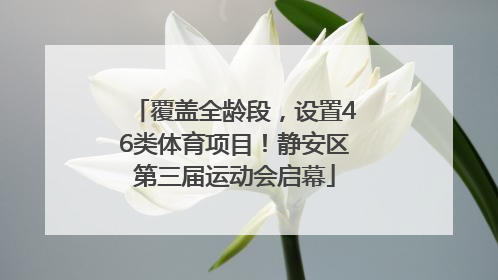 覆盖全龄段，设置46类体育项目！静安区第三届运动会启幕