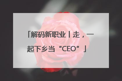 解码新职业丨走，一起下乡当“CEO”