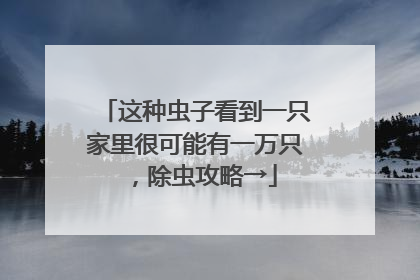 这种虫子看到一只家里很可能有一万只，除虫攻略→