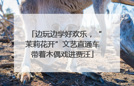 边玩边学好欢乐，“茉莉花开”文艺直通车带着木偶戏进贾汪