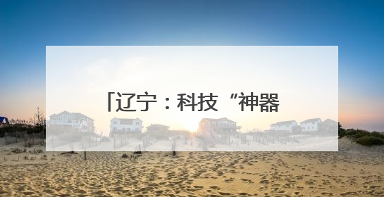 辽宁：科技“神器”为农田夏管护航