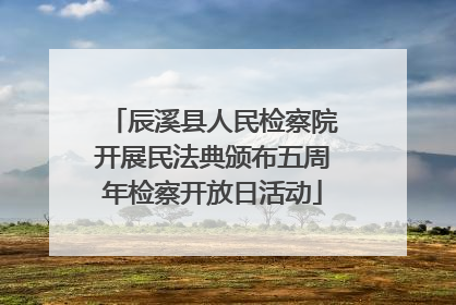 辰溪县人民检察院开展民法典颁布五周年检察开放日活动