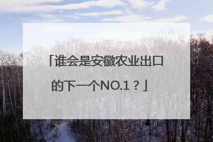 谁会是安徽农业出口的下一个NO.1？