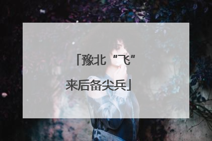 豫北“飞”来后备尖兵