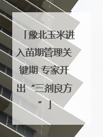 豫北玉米进入苗期管理关键期 专家开出“三剂良方”