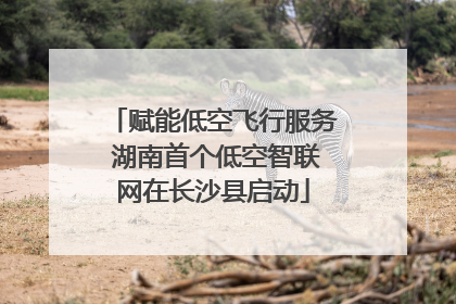 赋能低空飞行服务 湖南首个低空智联网在长沙县启动