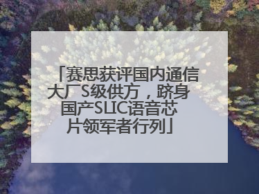 赛思获评国内通信大厂S级供方，跻身国产SLIC语音芯片领军者行列