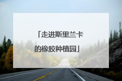 走进斯里兰卡的橡胶种植园