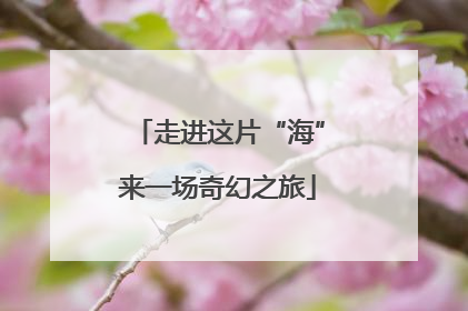 走进这片“海”来一场奇幻之旅