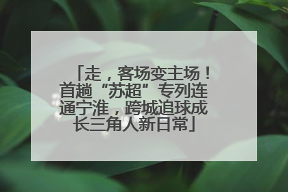 走，客场变主场！首趟“苏超”专列连通宁淮，跨城追球成长三角人新日常