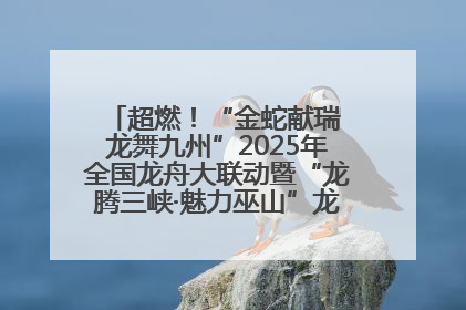 超燃！“金蛇献瑞 龙舞九州”2025年全国龙舟大联动暨“龙腾三峡·魅力巫山”龙舟邀请赛圆满落幕！