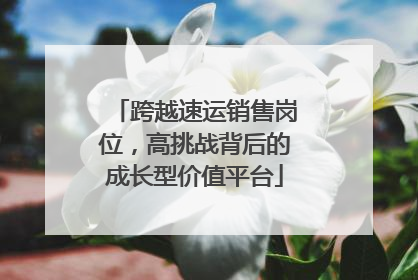 跨越速运销售岗位，高挑战背后的成长型价值平台