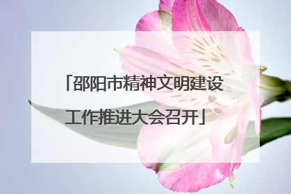 邵阳市精神文明建设工作推进大会召开