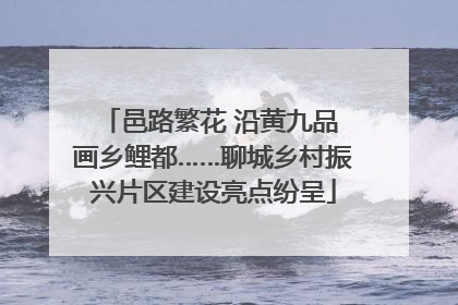 邑路繁花 沿黄九品 画乡鲤都……聊城乡村振兴片区建设亮点纷呈