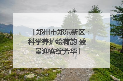 郑州市郑东新区：科学养护绘荷韵 盛景迎客绽芳华
