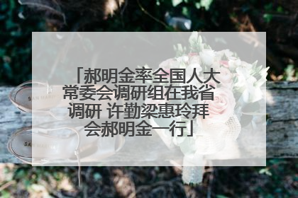郝明金率全国人大常委会调研组在我省调研 许勤梁惠玲拜会郝明金一行