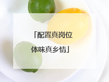 配置真岗位 体味真乡情