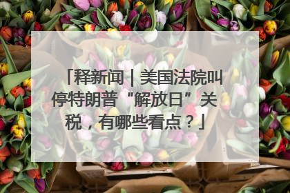 释新闻｜美国法院叫停特朗普“解放日”关税，有哪些看点？