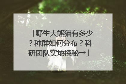 野生大熊猫有多少？种群如何分布？科研团队实地探秘→