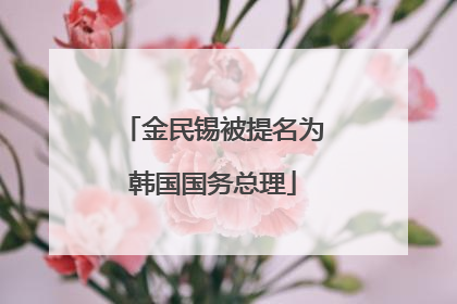 金民锡被提名为韩国国务总理