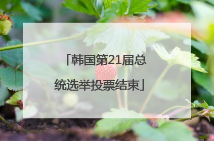 韩国第21届总统选举投票结束