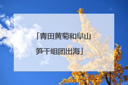青田黄菊和阜山笋干组团出海