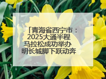青海省西宁市：2025大通半程马拉松成功举办 明长城脚下跃动奔跑音符