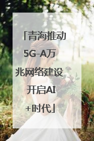 青海推动5G-A万兆网络建设 开启AI+时代