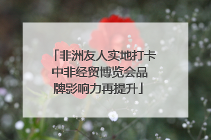 非洲友人实地打卡 中非经贸博览会品牌影响力再提升