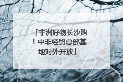 非洲好物长沙购！中非经贸总部基地对外开放