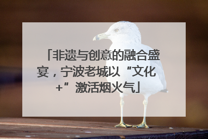 非遗与创意的融合盛宴，宁波老城以“文化+”激活烟火气