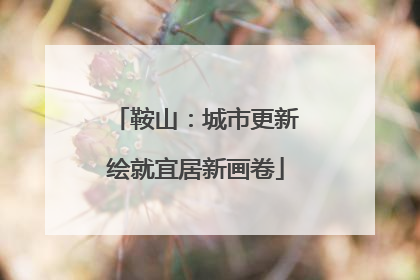鞍山：城市更新绘就宜居新画卷