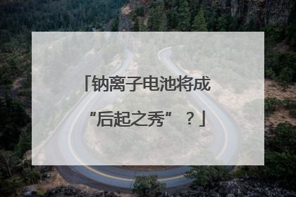 钠离子电池将成“后起之秀”？