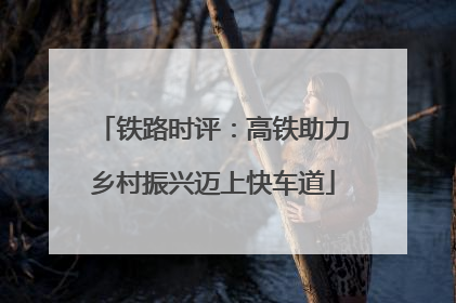 铁路时评：高铁助力乡村振兴迈上快车道